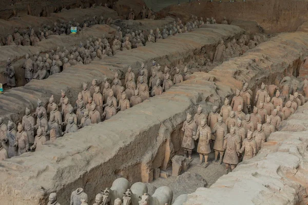 Chine Août 2018 Lignes Armée Guerriers Terre Cuite Près Province — Photo