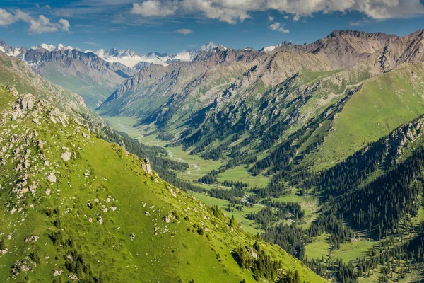 Tal Der Nähe Von Karakol Kirgisistan — Stockfoto