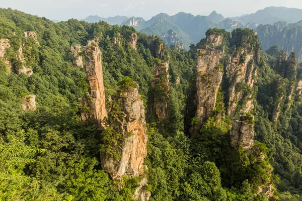 Çin Hunan Eyaletindeki Zhangjiajie Ulusal Orman Parkı Ndaki Wulingyuan Manzarası — Stok fotoğraf