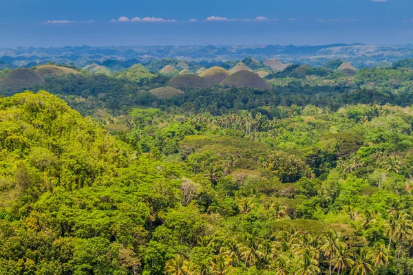 Formación Geológica Chocolate Hills Isla Bohol Filipinas — Foto de Stock