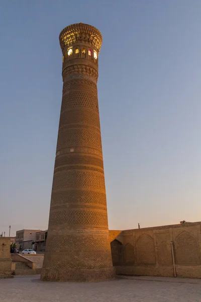 Vista Nocturna Del Minarete Kalan Bujará Uzbekistán — Foto de Stock