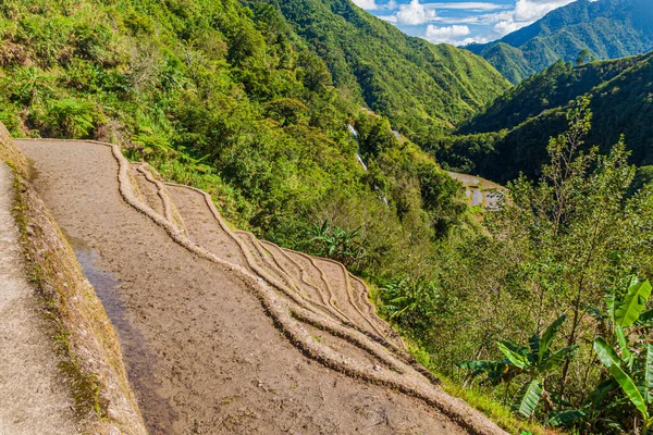 Terrazze Riso Vicino Banaue Isola Luzon Filippine — Foto Stock