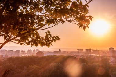 Sırbistan 'ın Novi Sad kentinde günbatımı