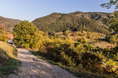 Sırbistan 'ın Mokra Gora kentinden Drvengrad (Kustendorf) yerleşimine giden yol