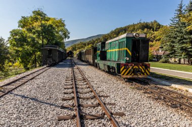 Sırbistan 'ın Mokra Gora kentindeki tren istasyonunda eski trenler