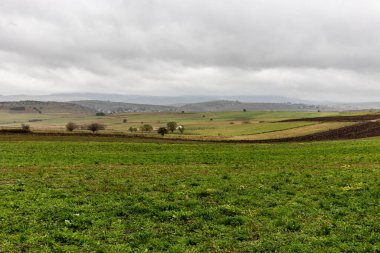 Sırbistan 'ın Sjenica kenti yakınlarındaki kırsal alan