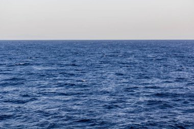 Sakin mavi bir denizin yüzeyinde