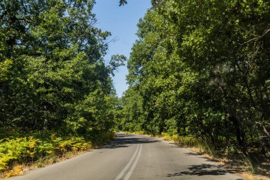 Yunanistan 'ın Mora yarımadasındaki kırsal yol