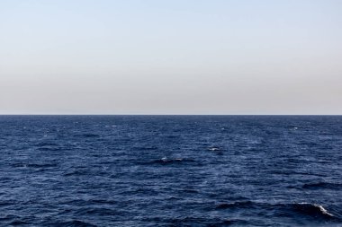 Sakin mavi bir denizin yüzeyinde