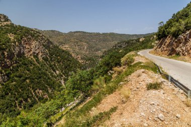 Yunanistan 'ın Mora yarımadasındaki dağ yolu