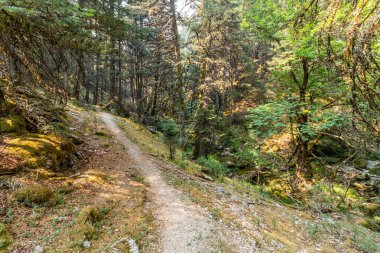 Yunanistan 'ın Moreloponese yarımadasındaki Elati köyü yakınlarındaki Menalon patikası
