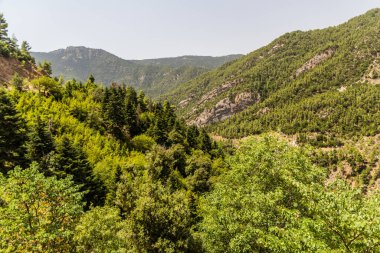 Yunanistan 'ın kuzey Mora yarımadasının manzarası