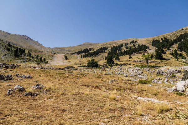 Yunanistan 'ın Mora yarımadasındaki Kalavrita Kayak Merkezi' nin yaz manzarası.