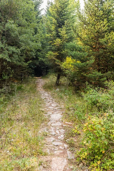 Yunanistan 'ın Moreloponese yarımadasındaki Elati köyü yakınlarındaki Menalon patikası