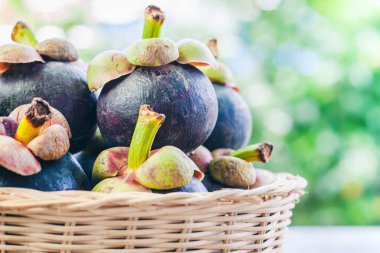 Hasır sepet yeşil arka plan bulanık üzerinde mangosten meyve