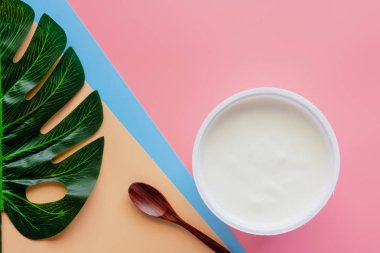 yoğurt doğal lezzet, tahta kaşık ve pastel renk arka plan üzerinde yeşil palmiye yaprağı ile 
