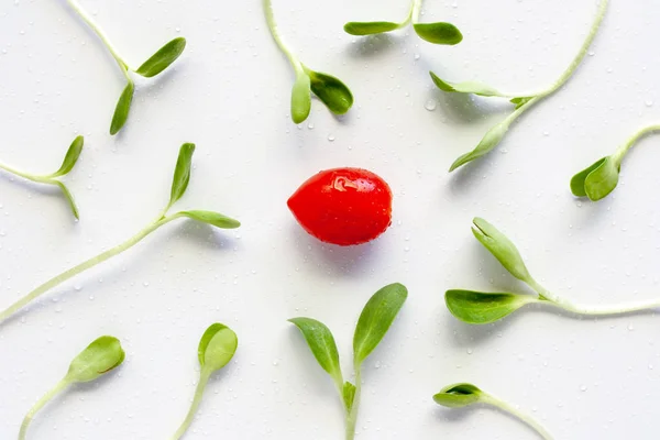 Germogli Legume Pomodoro Sfondo Bianco Concetto Alimentazione Sana — Foto Stock