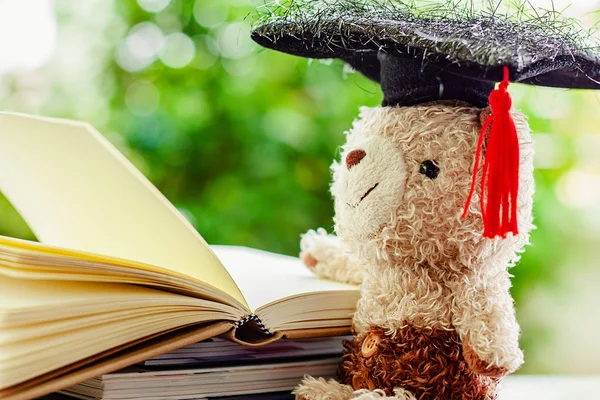 Smiling teddy bear doll with square academic cap and stack of opened books against blurred natural green background for education concept