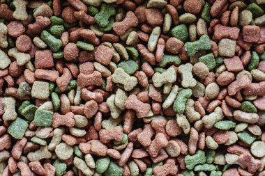 Pelet köpek maması hayvan ve evde beslenen hayvan kaygı kavramı için kurutulmuş