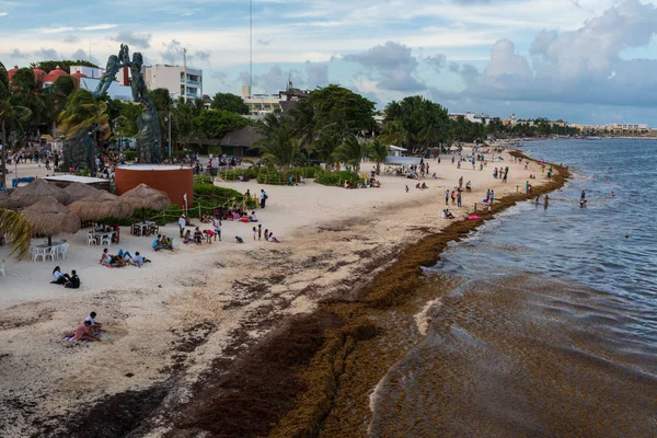 Sargassum yosun kapsar popüler tatil beach, Playa Del Carmen Meksika, 21 Ağustos 2018 /