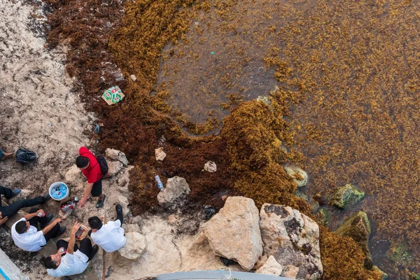 Sargassum yosun kapsar popüler tatil beach, Playa Del Carmen Meksika, 21 Ağustos 2018 /