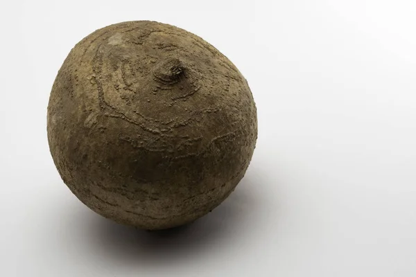 Bu ad en çok bitki yenilebilir tuberous kök dizinine eder rağmen Pachyrhizus erosus, jicama, Meksika yam fasulye veya Meksika şalgam, bilinen yerel bir Meksikalı asma adıdır. Jcama bu cins Pachyrhizus içinde bir tür içinde 