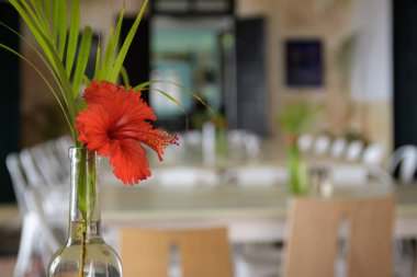 Arka planda bulanık Hybiscus bir Meksika restoranı, beyaz bir şişe