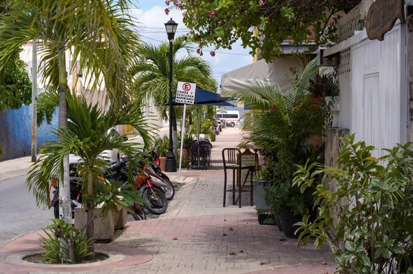 Mexikói Street View Ban Cozumel Sok Pálma Fák Növények — Stock Fotó