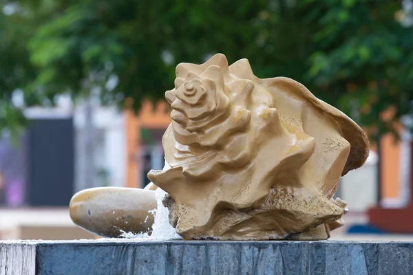 Cozumel, Meksika'nın Ana Meydanı nda genel bir parkta kabuklu Çeşme