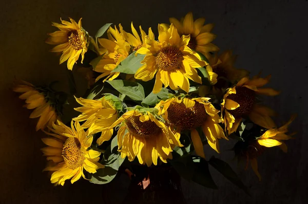 Foto Stilleven Zomer Boeket Met Zonnebloemen — Stockfoto