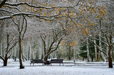 Banliyöde geç sonbaharda.