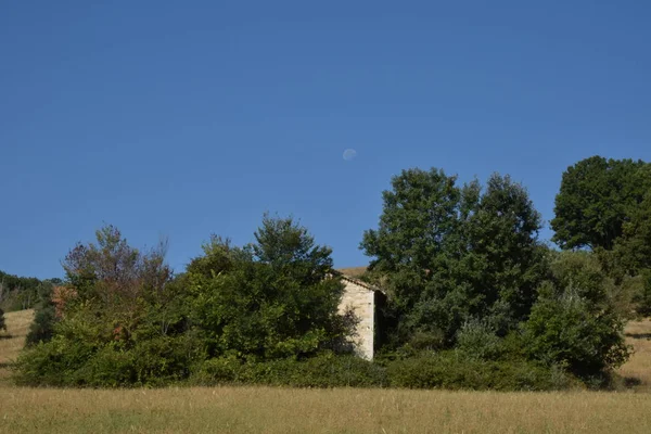 Quando Luna Proprio Non Vuole Undsind Ein Schlafsaal — Stockfoto