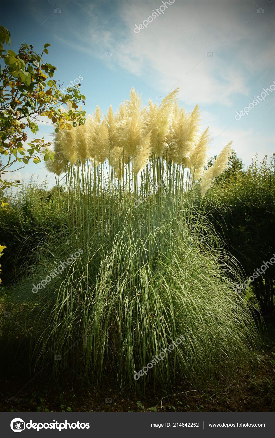 Natura Meravigliosa Che Crea Spettacoli Indescrvibili Stock Photo C Skylineworld