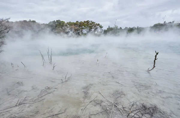 Nova Zelândia Ilha Norte Rotorua Lago Térmico — Fotografia de Stock