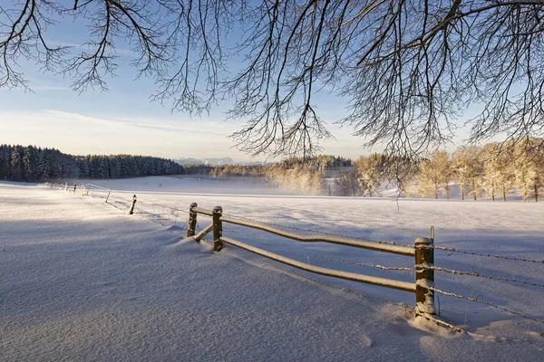 Германия Бавария Геретсрид Зимний Пейзаж Утром — стоковое фото