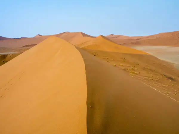 Αφρική Ναμίμπια Έρημο Namib Εθνικό Πάρκο Naukluft Σσοσουσβλέι Αμμόλοφους — Φωτογραφία Αρχείου