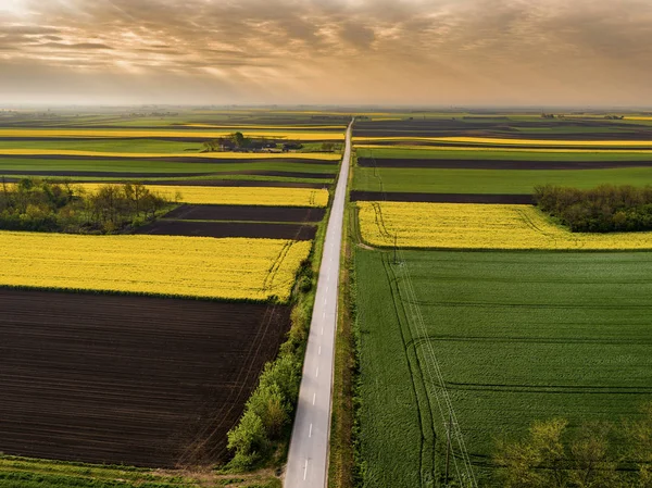 Serbia Agricultural Fields Yellow Rape Field Aerial View Summer — Stock Photo, Image