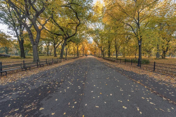 Usa New York City Manhattan Path Central Park — Stock Photo, Image
