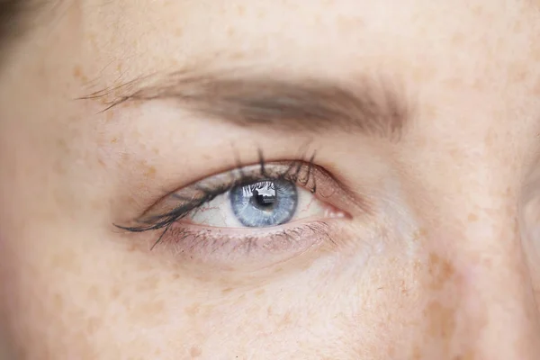 Ojo Azul Mujer Primer Plano —  Fotos de Stock