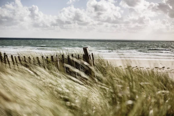 Francie Normandie Portbail Contentin Dřevěná Ohrada Pláži Duny — Stock fotografie