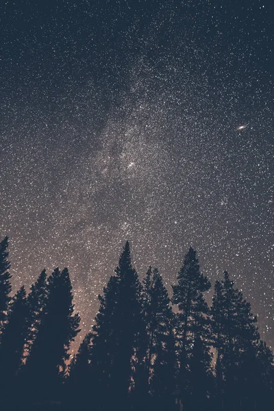 Kanada British Columbia Chilliwack Stjärnhimmel Natten Milky Way — Stockfoto