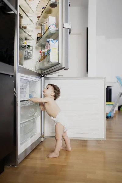 Baby Boy Wearing Diaper Exploring Refrigerator Kitchen — Stock Photo, Image