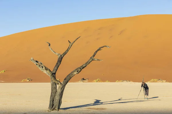 Namibië Namib Naukluft Namib Desert Dead Vlei Toerist Fotografeert Dode — Stockfoto