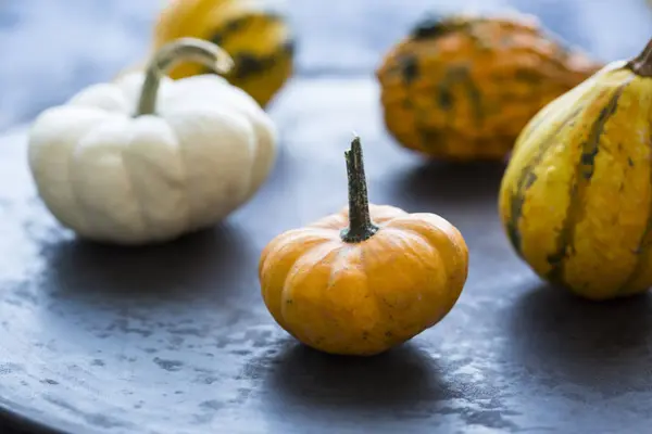 Close Abóboras Ornamentais Para Halloween — Fotografia de Stock