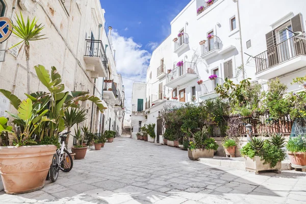 Italien Puglia Polognano Mare Stadens Hus Dagtid — Stockfoto