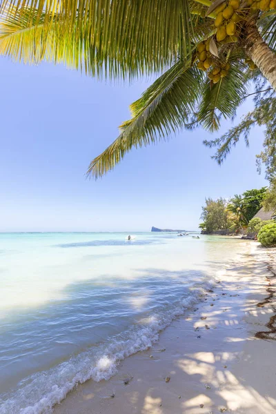 Mauritius Riviere Rempart Cap Malheureux Spiaggia Palme Barche — Foto Stock