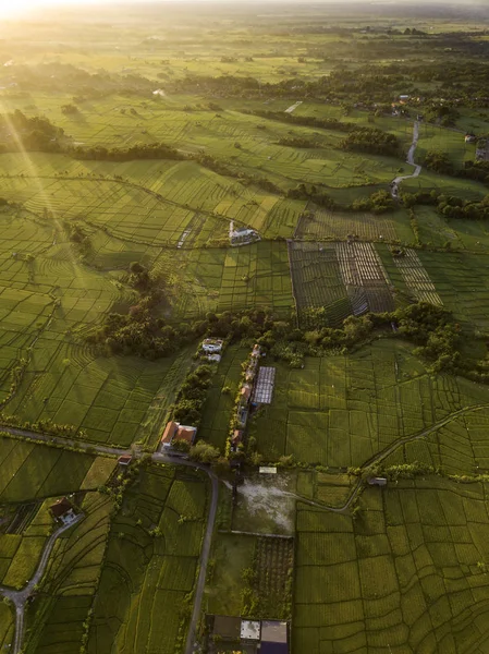 Indonésia Bali Kedungu Vista Aérea Dos Campos Frice — Fotografia de Stock