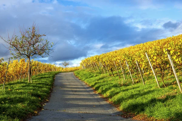 Germany Hesse Hessische Bergstrasse Bensheim Heppenheim Autumn — Stock Photo, Image