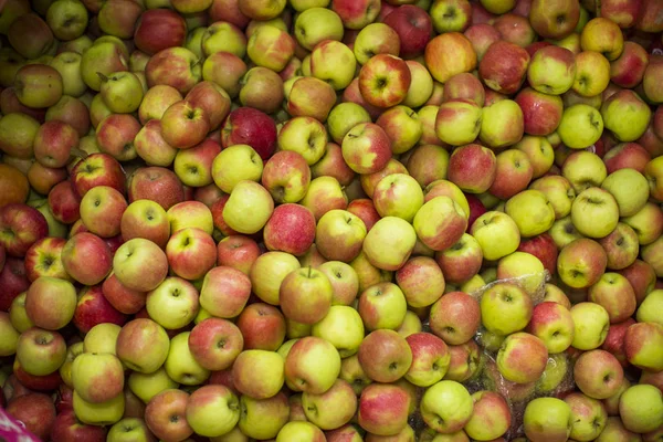 Frische Äpfel Fabrik Werden Gewaschen — Stockfoto