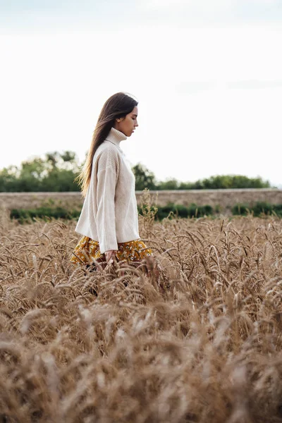 トウモロコシ畑に立つ特大タートルネックプルオーバーを着た若い女性 — ストック写真